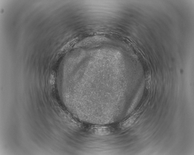 X0000058780472200510211752