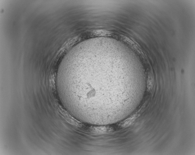 X0000058780473200510211752