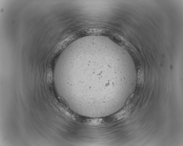 X0000058780474200510211752