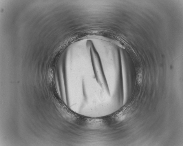 X0000058780476200510211752