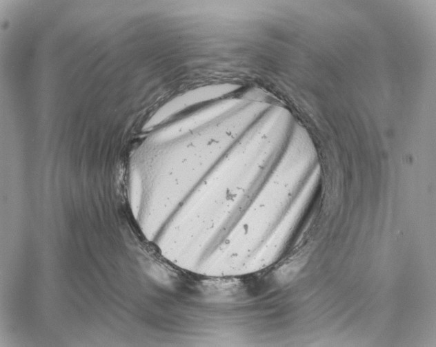 X0000058780480200510211753