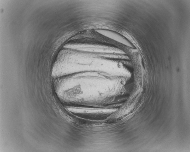 X0000058780481200510211752