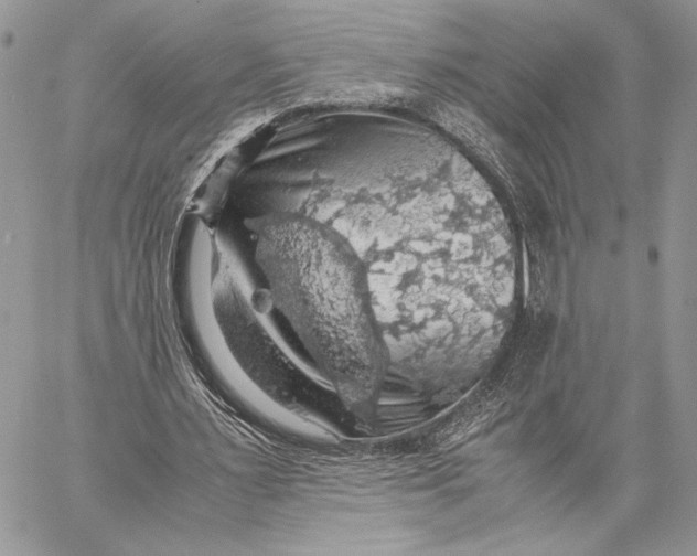 X0000058780483200510211752