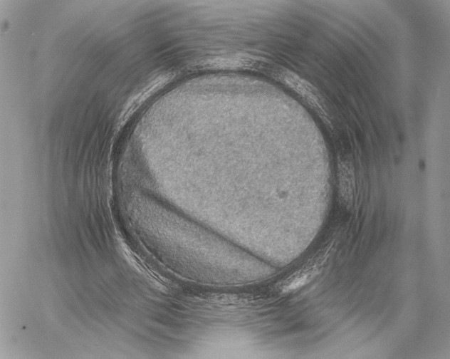 X0000058780486200510211752