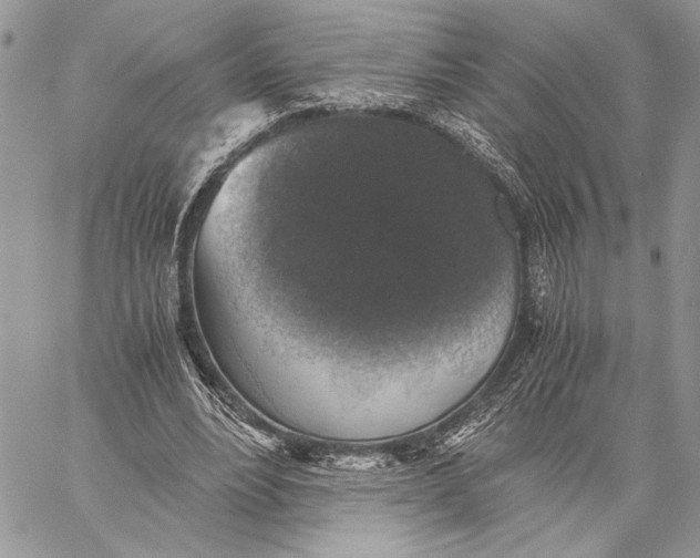 X0000058780488200510211752