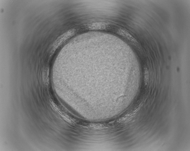 X0000058780490200510211752