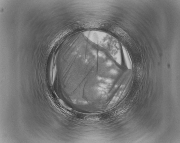 X0000058780491200510211752