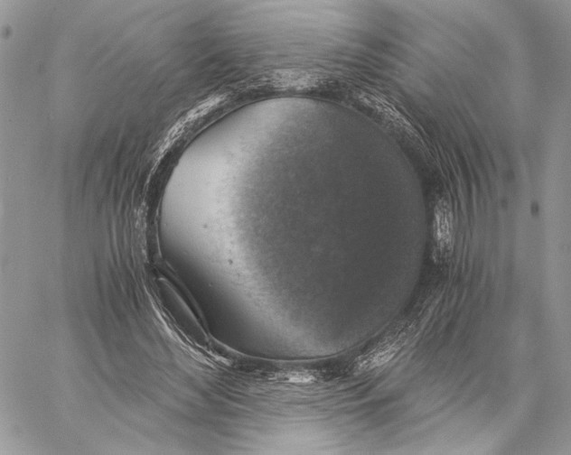 X0000058780492200510211752