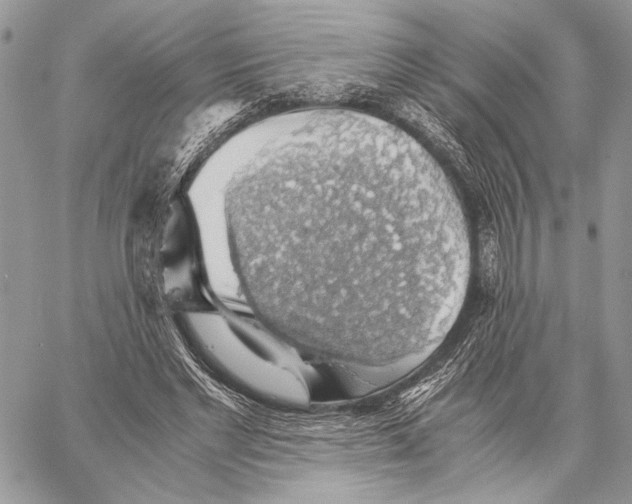 X0000058780493200510211752