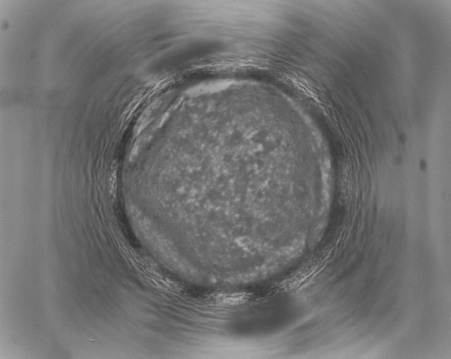 X0000058780495200510211751