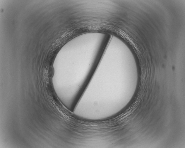 X0000058780497200510211751