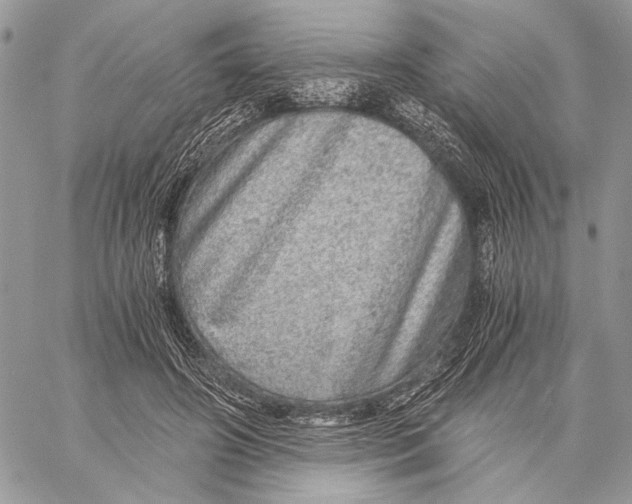 X0000058780498200510211751