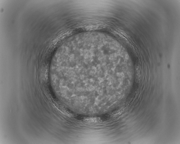 X0000058780499200510211751