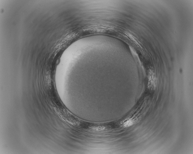 X0000058780500200510211751