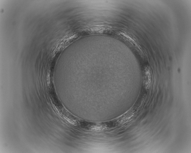 X0000058780504200510211751