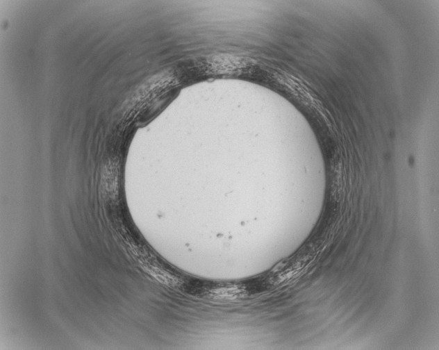 X0000058780505200510211751