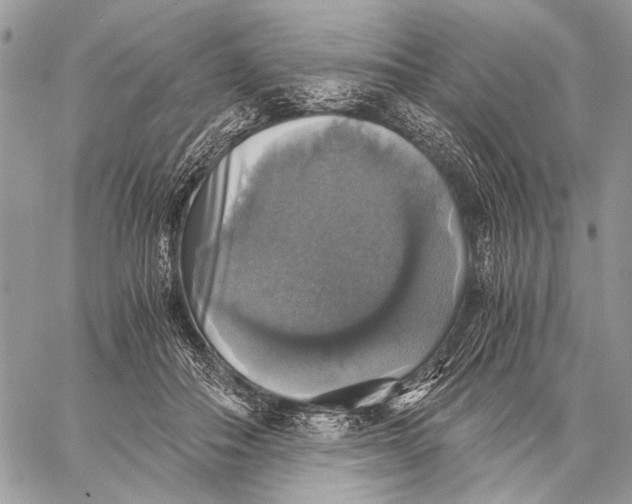 X0000058780506200510211751