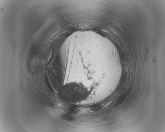 X0000058780507200510211751