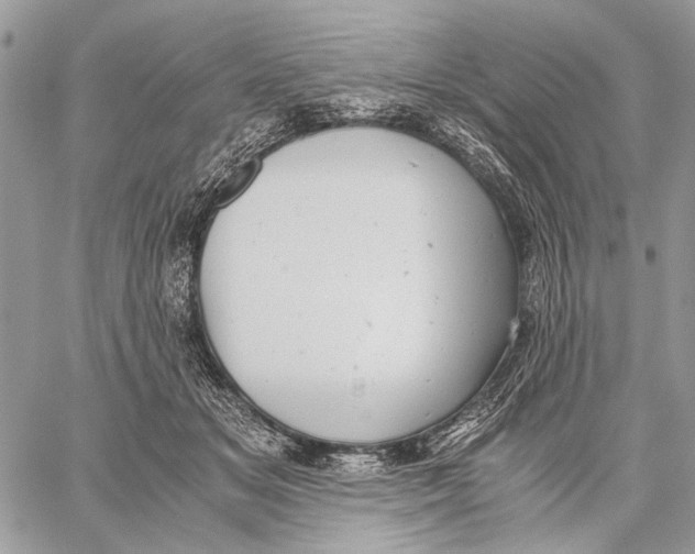 X0000058780509200510211751