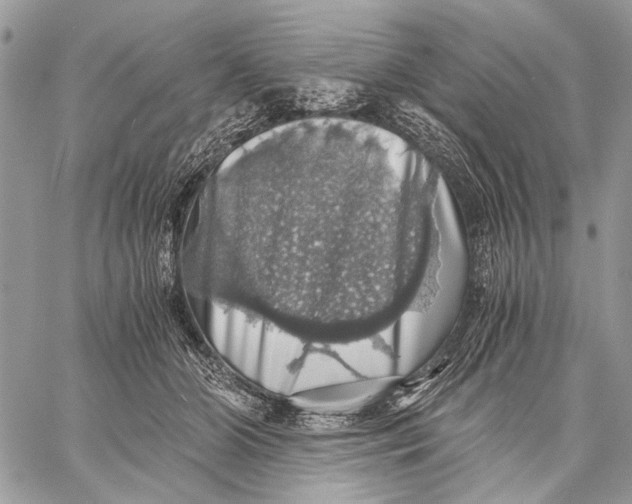 X0000058780510200510211751