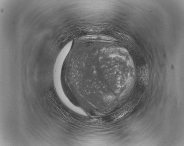 X0000058780511200510211751