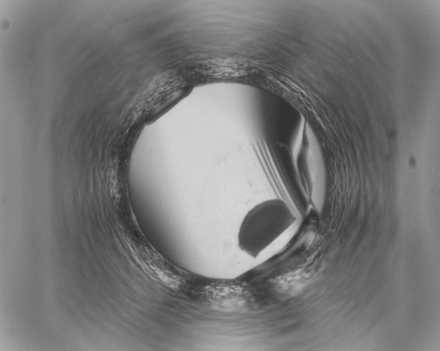 X0000058780512200510211751