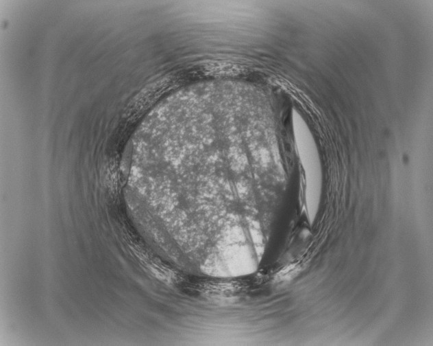 X0000058780513200510211751