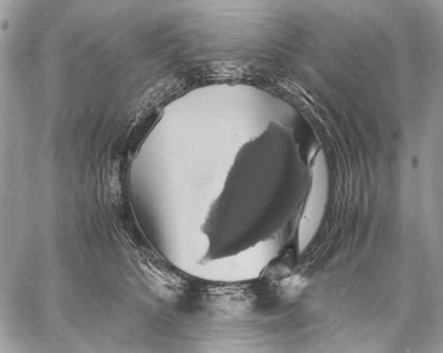 X0000058780516200510211751