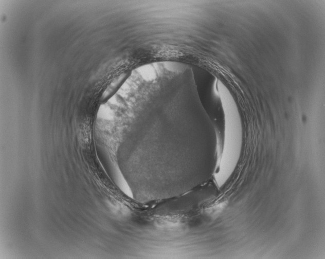 X0000058780517200510211751