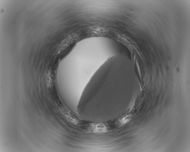 X0000058780520200510211751