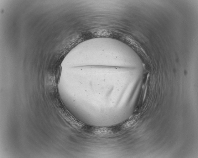 X0000058780521200510211751