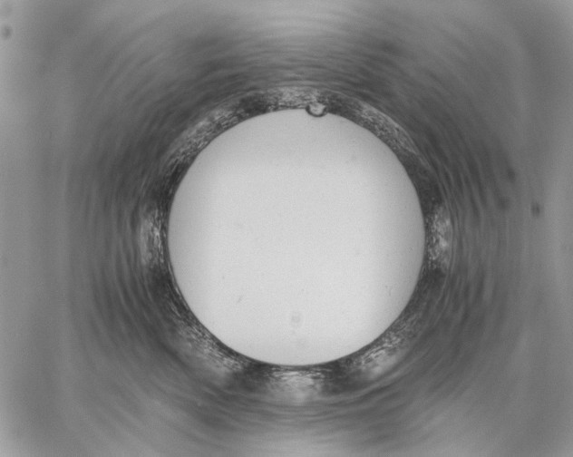 X0000058780522200510211751