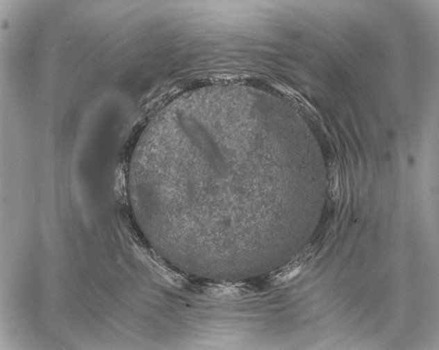 X0000058780523200510211751