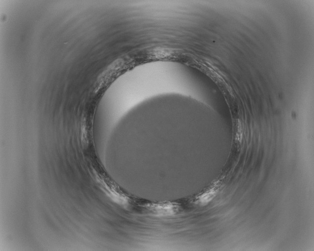 X0000058780524200510211751