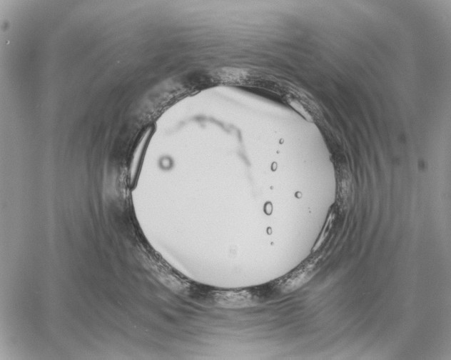 X0000058780525200510211751