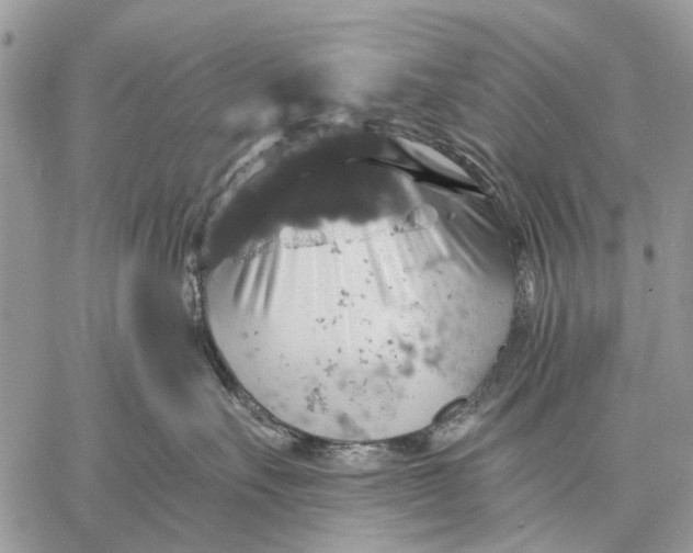 X0000058780527200510211751