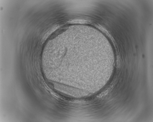 X0000058780529200510211750