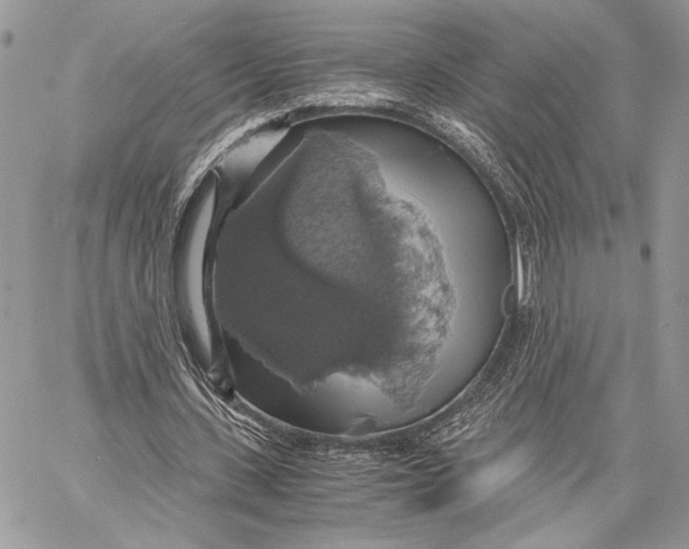 X0000058780531200510211750