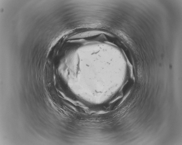 X0000058780532200510211750