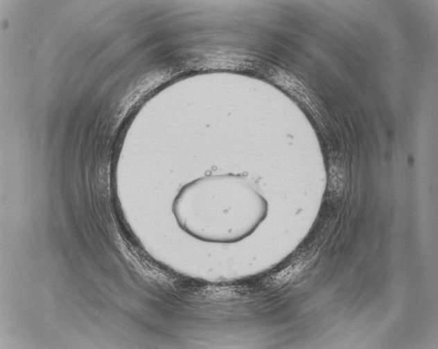 X0000058780534200510211750