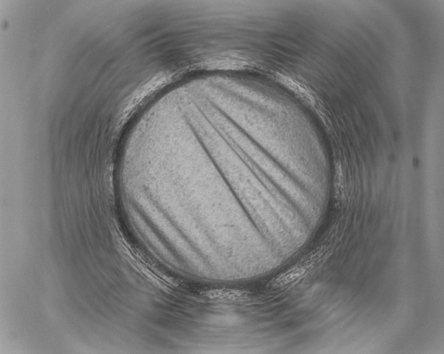 X0000058780535200510211750