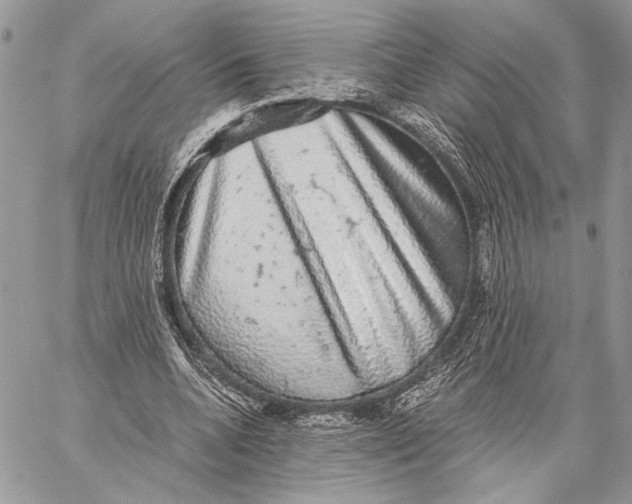 X0000058780536200510211750