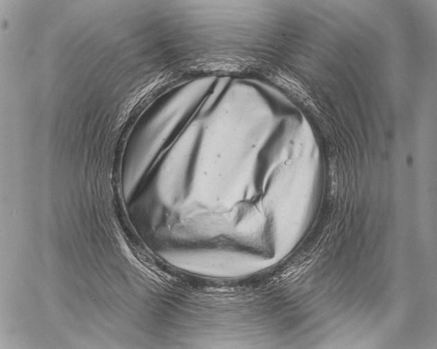 X0000058780538200510211750