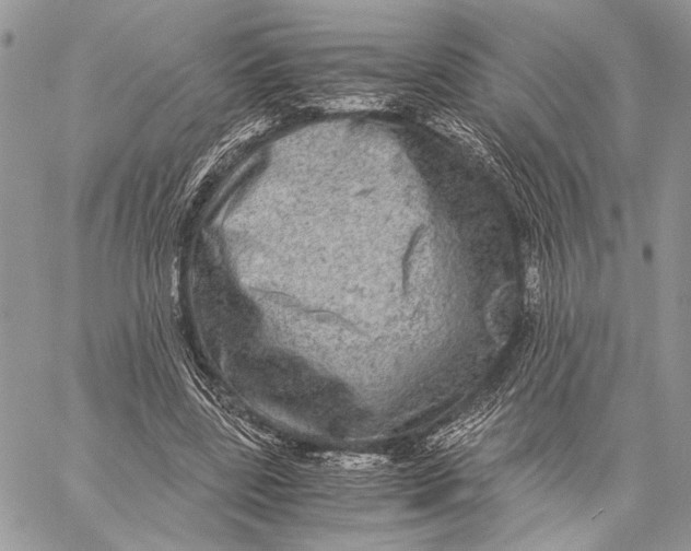 X0000058780539200510211750