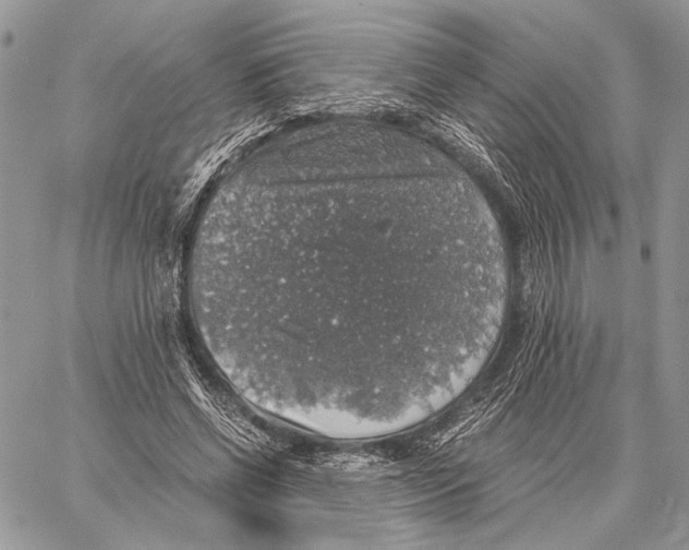 X0000058780542200510211750