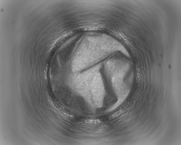 X0000058780543200510211750