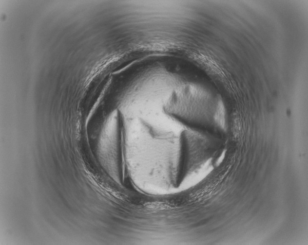 X0000058780544200510211750