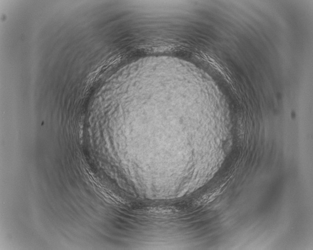 X0000058780545200510211750