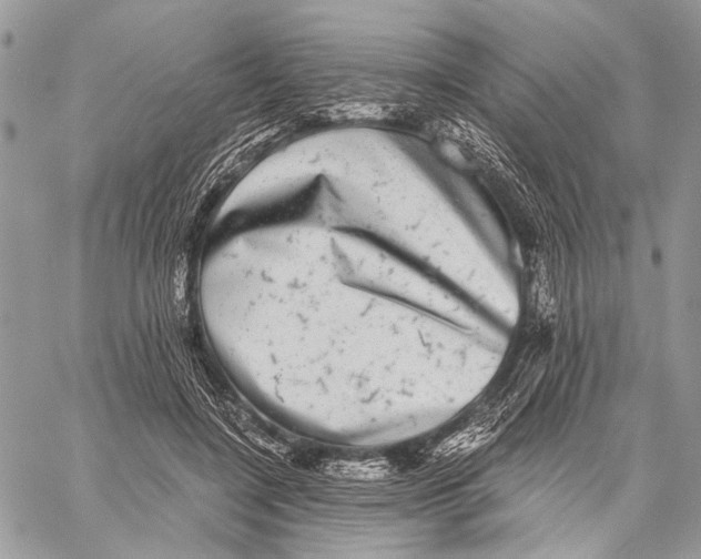 X0000058780548200510211750