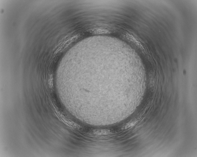 X0000058780549200510211751